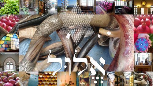 Elul2021_DSC_1477_Collage