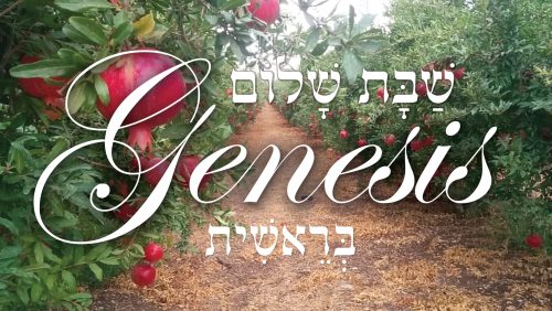 ShabbatShalomGenesisi-01