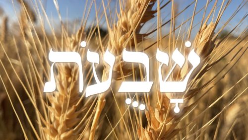 Shavuot5785-01